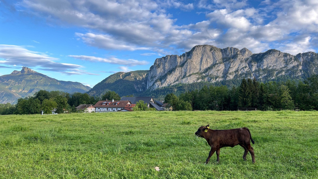 Photo of Others in Sankt Lorenz