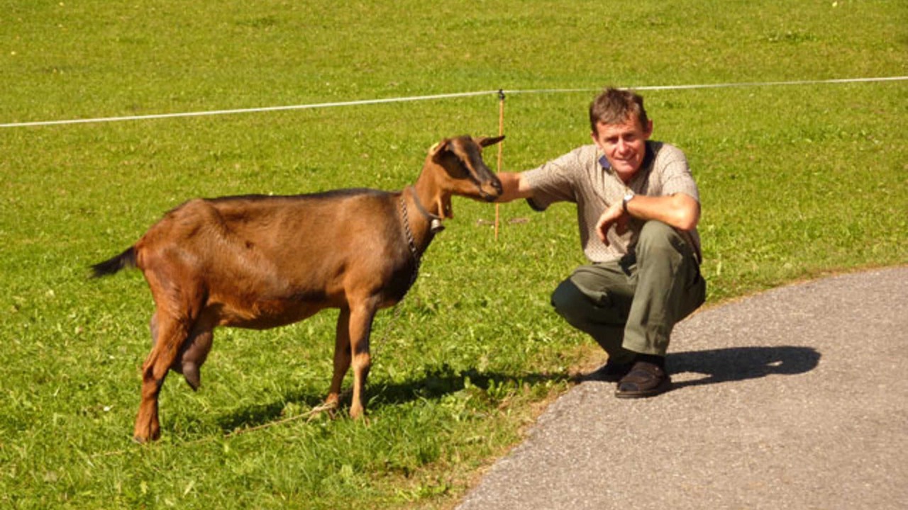 Photo of Others in Hittisau