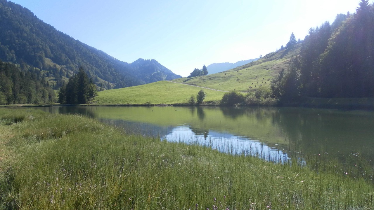 Photo of Others in Hittisau