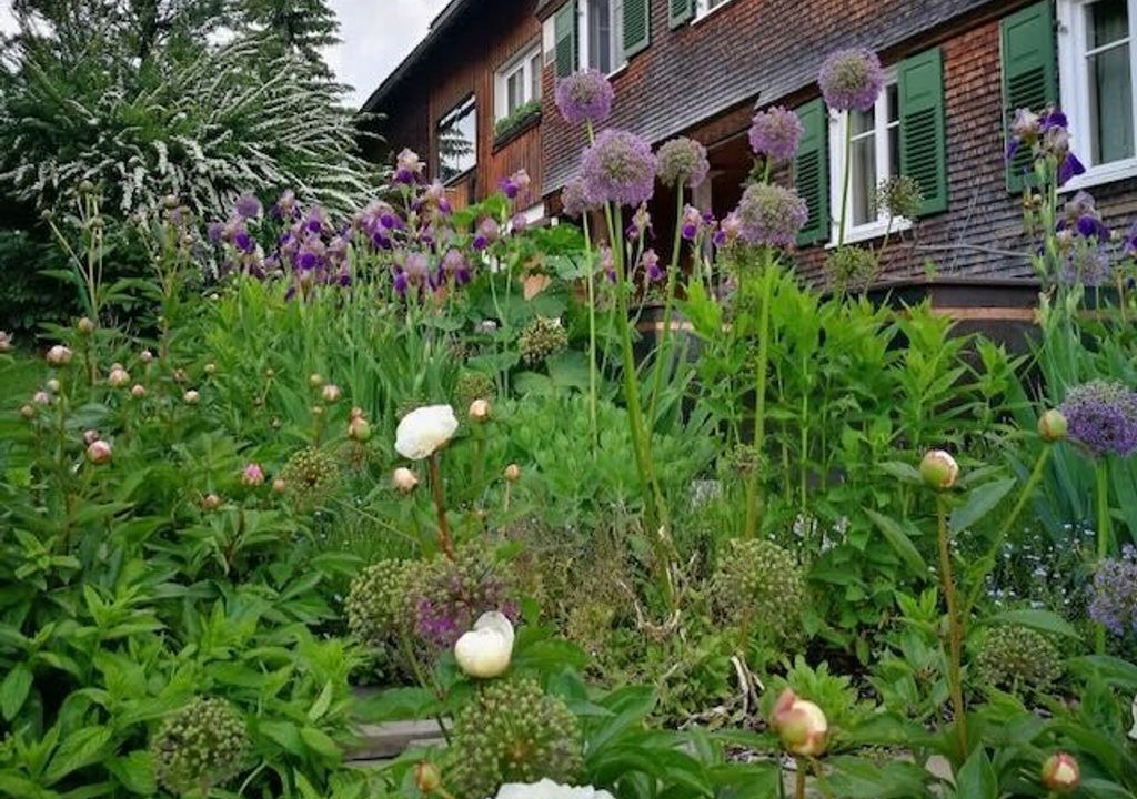 Photo of Outdoor in Grossdorf