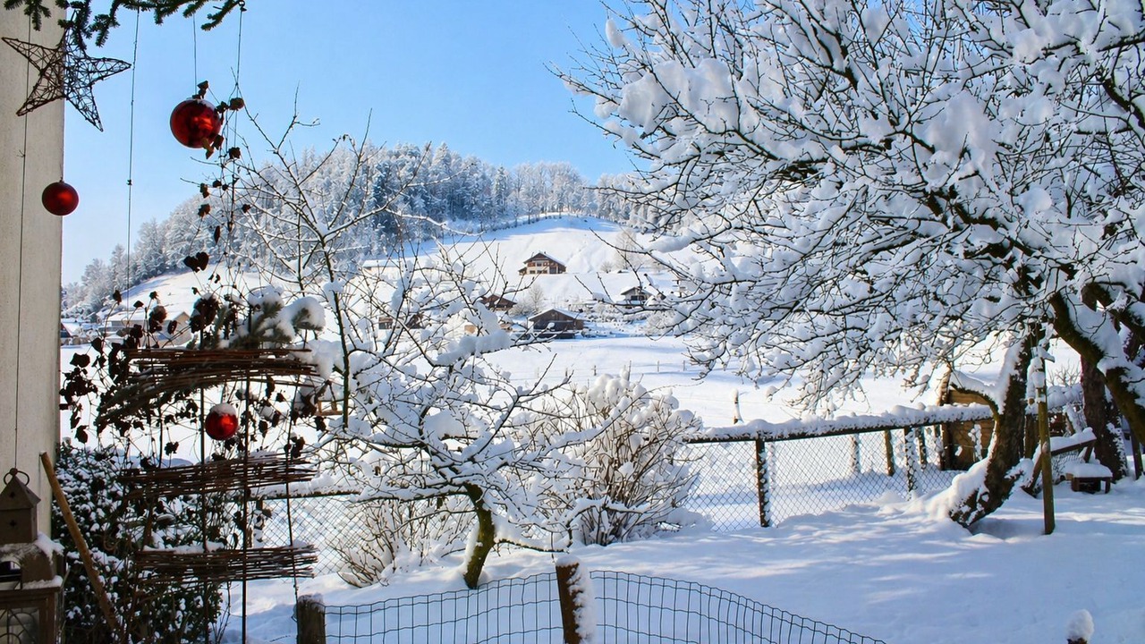 Photo of Outdoor in Lingenau