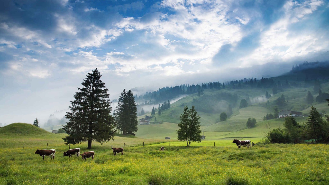 Photo of Others in Rauris