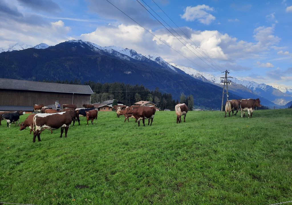 Photo of Others in Schonbach