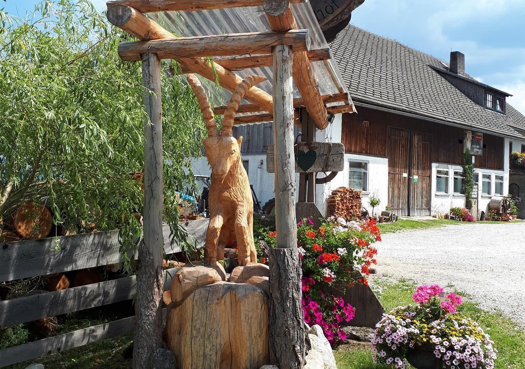 Photo of Outdoor in Mariapfarr