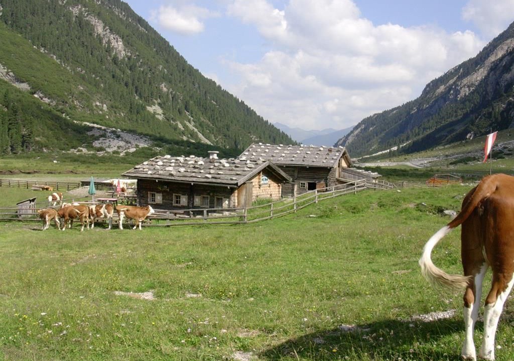 Photo of Others in Krimml