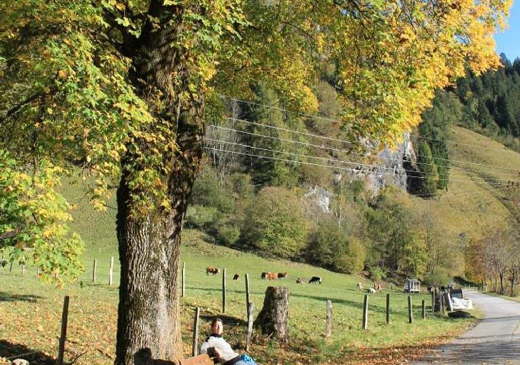 Photo of Others in Dorfgastein