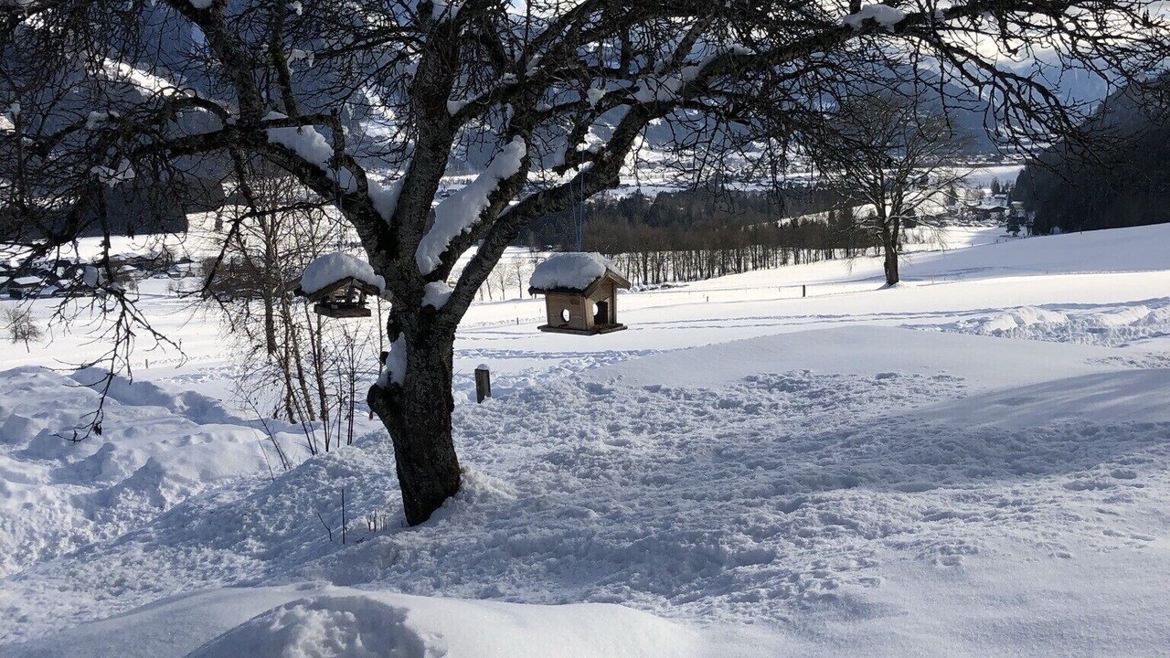 Photo of Outdoor in Maishofen