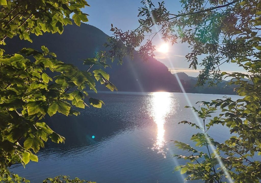 Photo of Others in Faistenau
