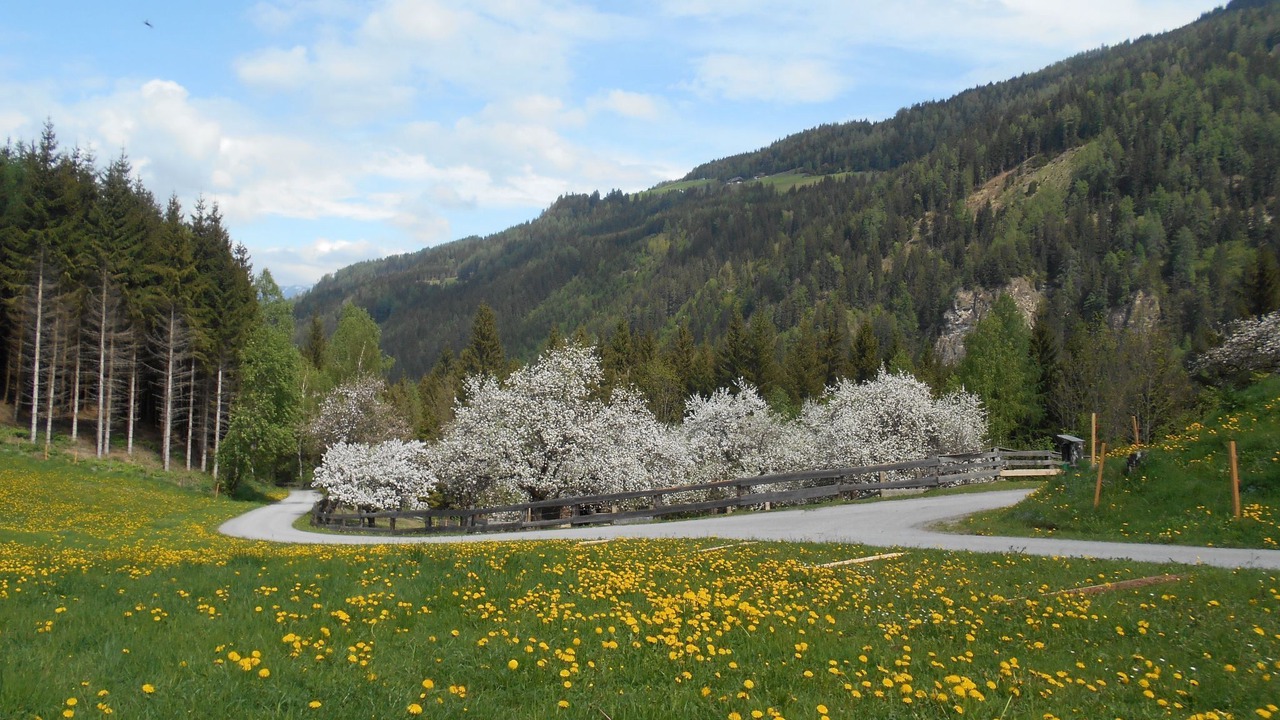 Photo of Others in Teufenbach-Katsch