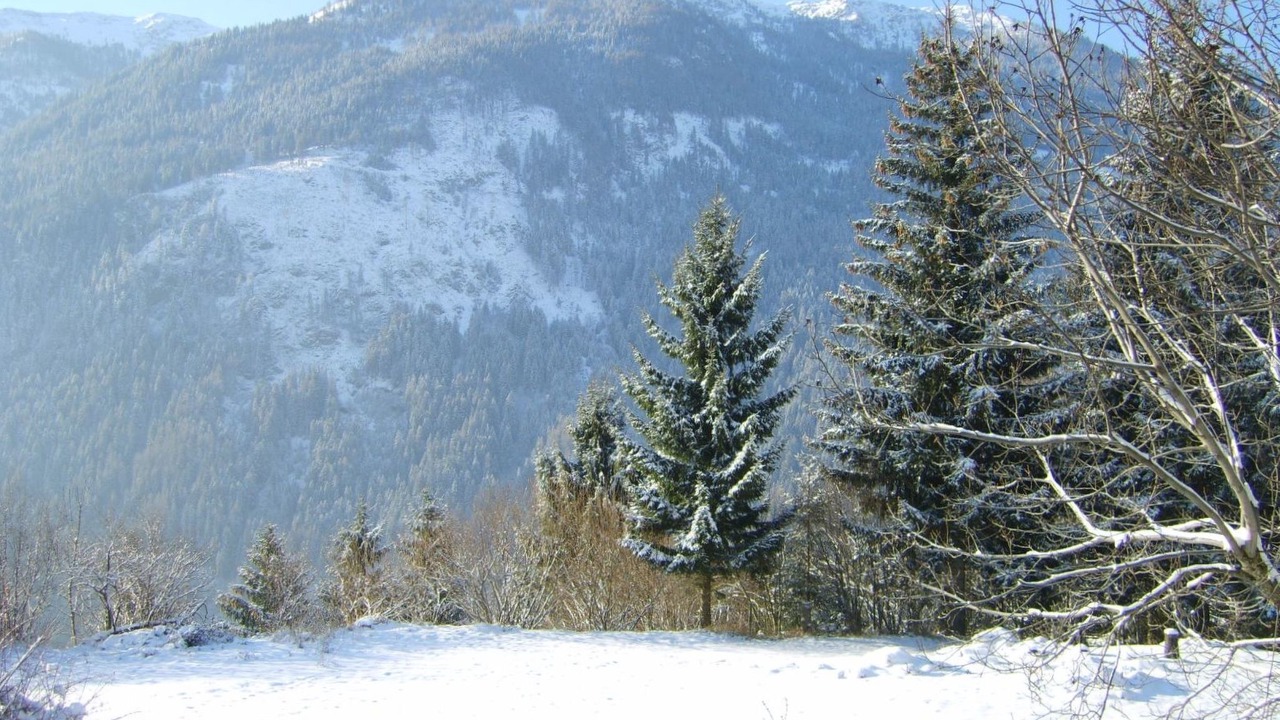 Photo of Others in Feld am See