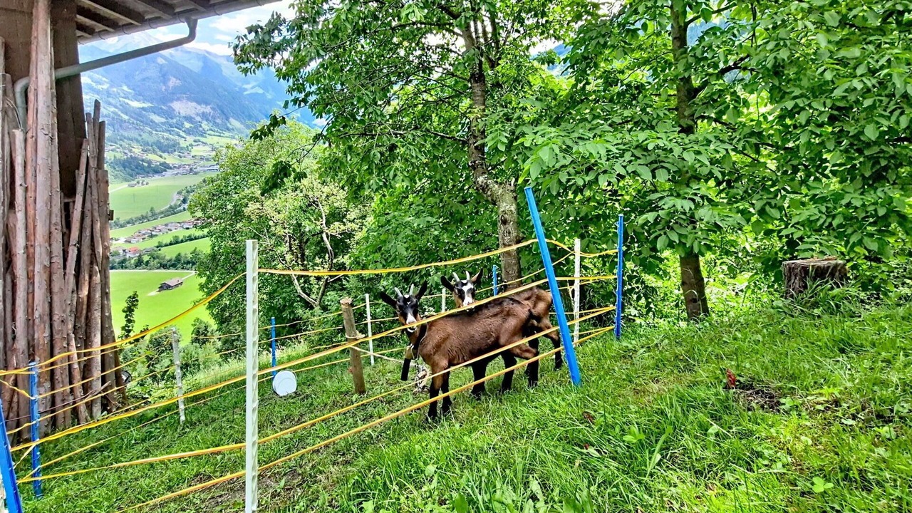 Photo of Others in Zellbergeben