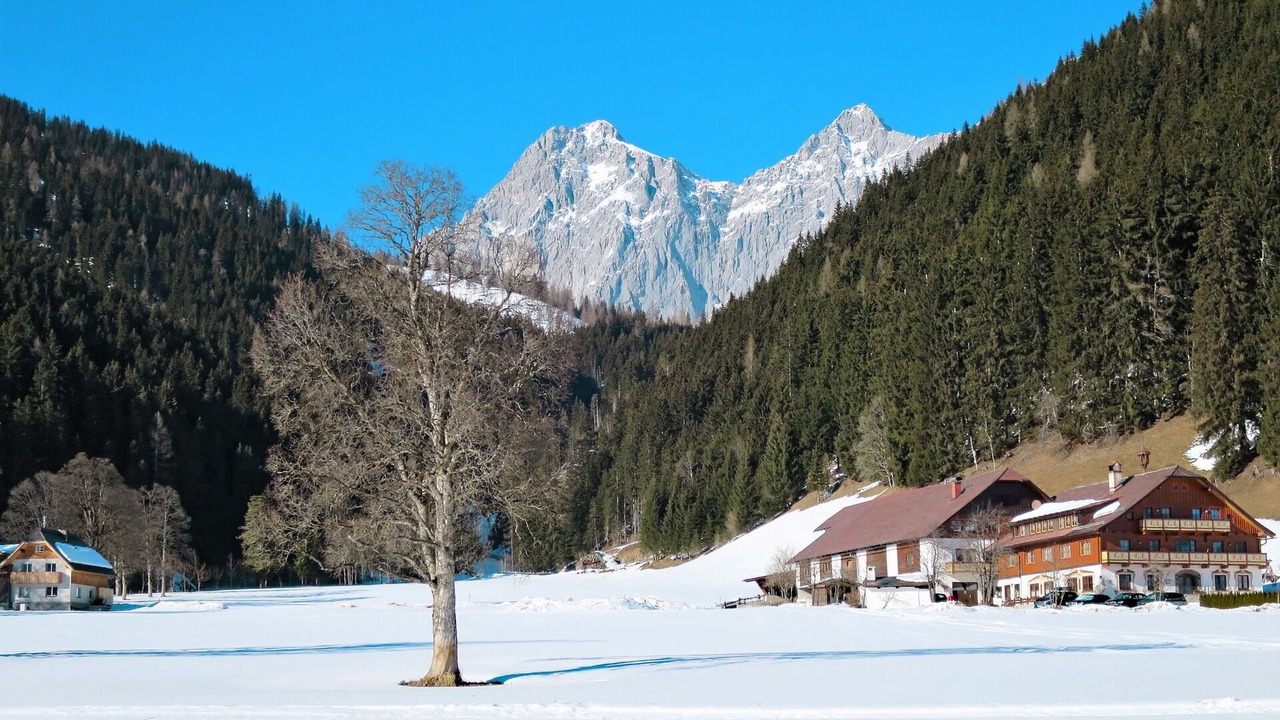Photo of Others in Ramsau am Dachstein