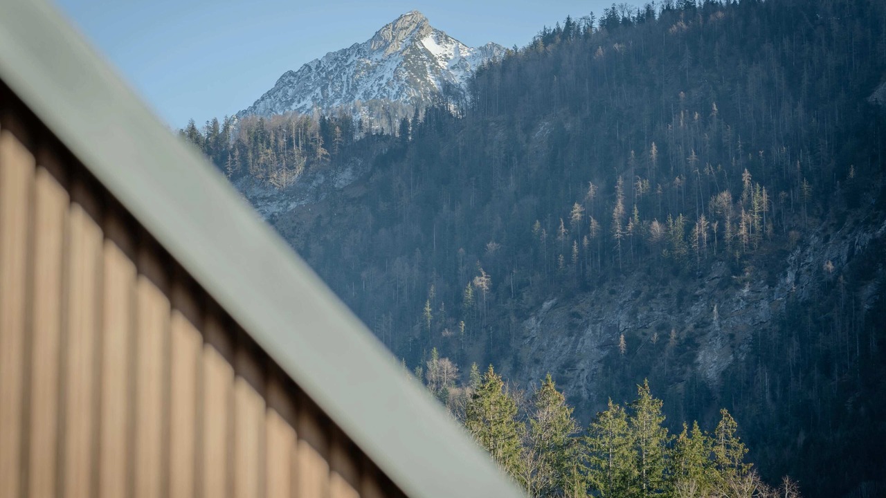 Photo of Others in Strobl