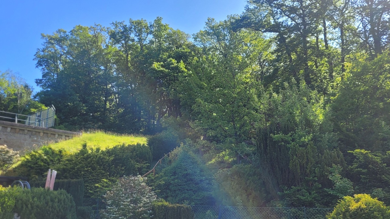 Photo of Outdoor in Laab im Walde