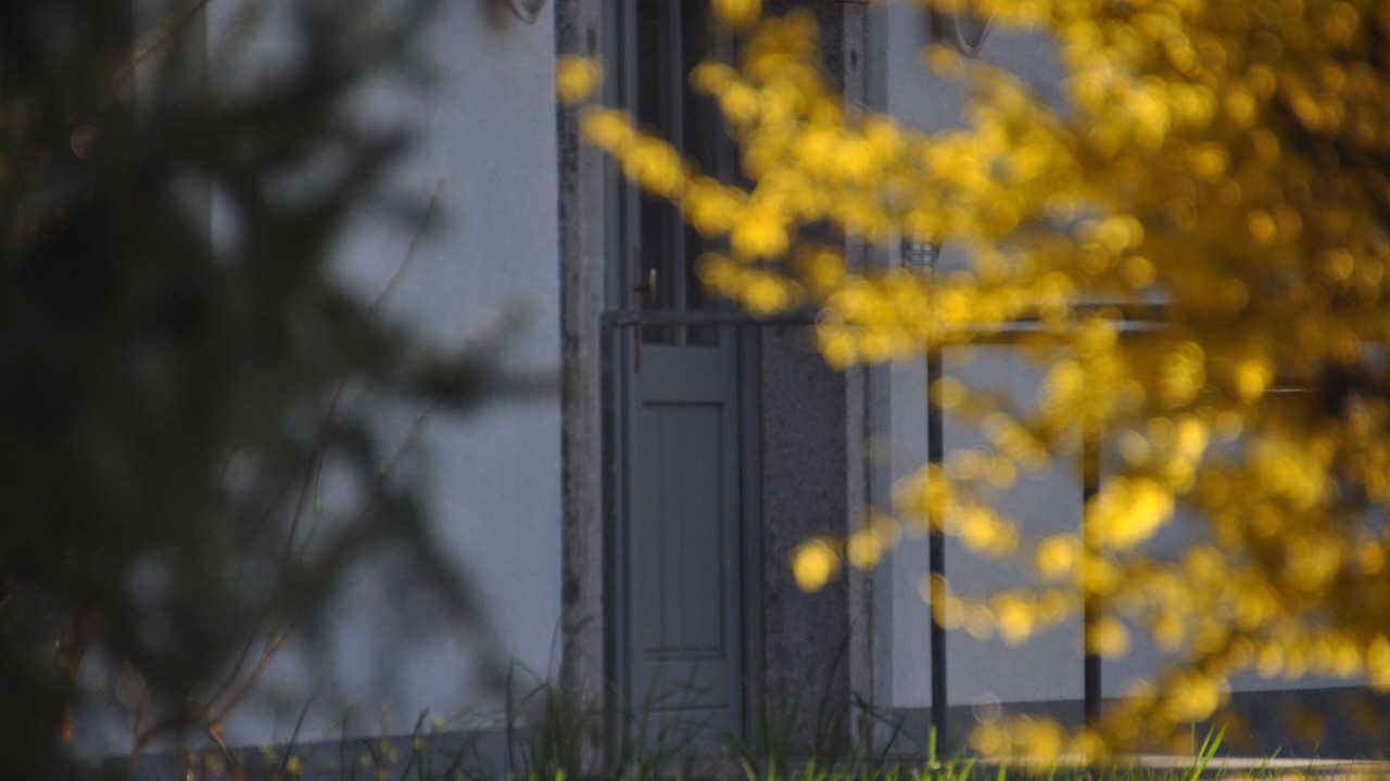 Photo of Outdoor in Mondsee