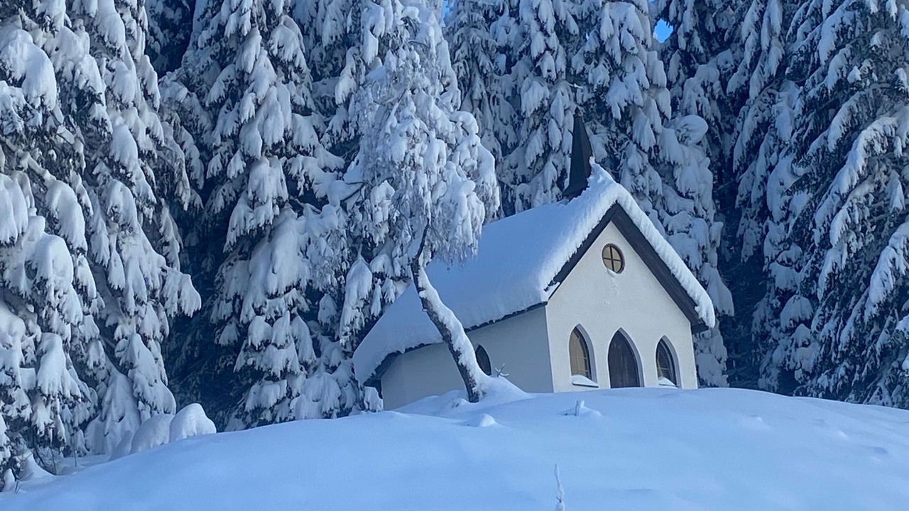 Photo of Outdoor in Tannheim