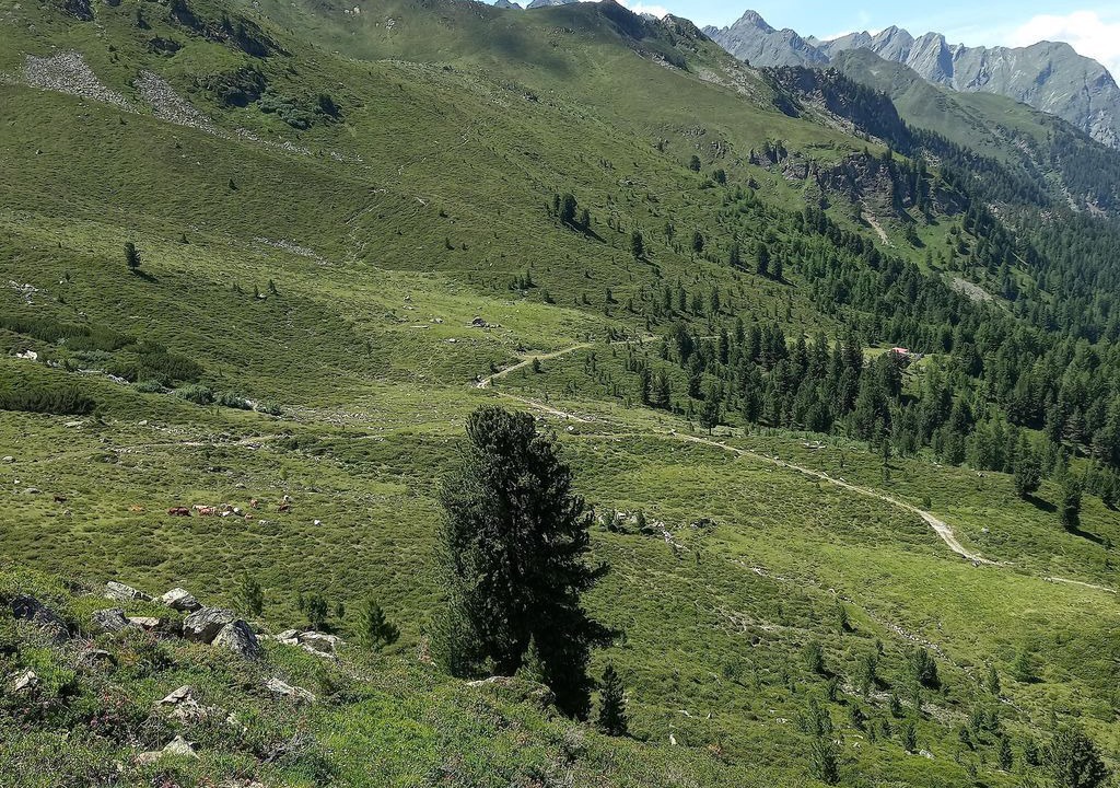 Photo of Others in Sankt Leonhard im Pitztal