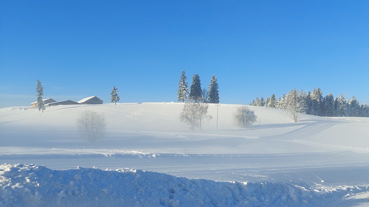 Photo of Others in Sulzberg