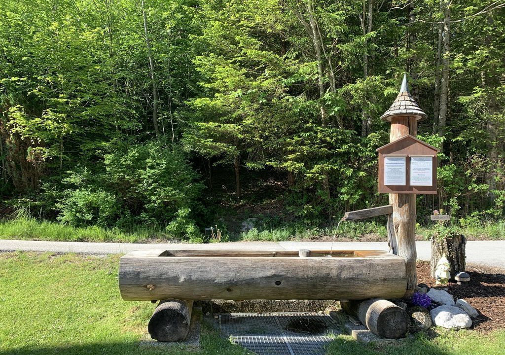 Photo of Others in Fuschl am See