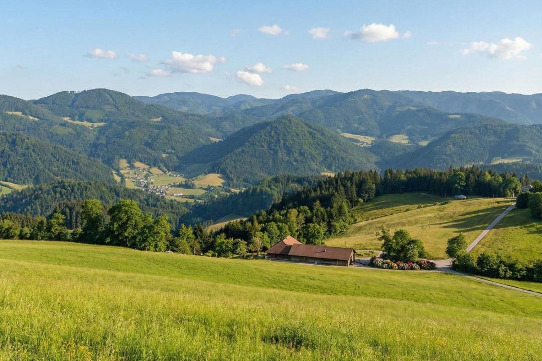 Photo of Others in Frankenfels