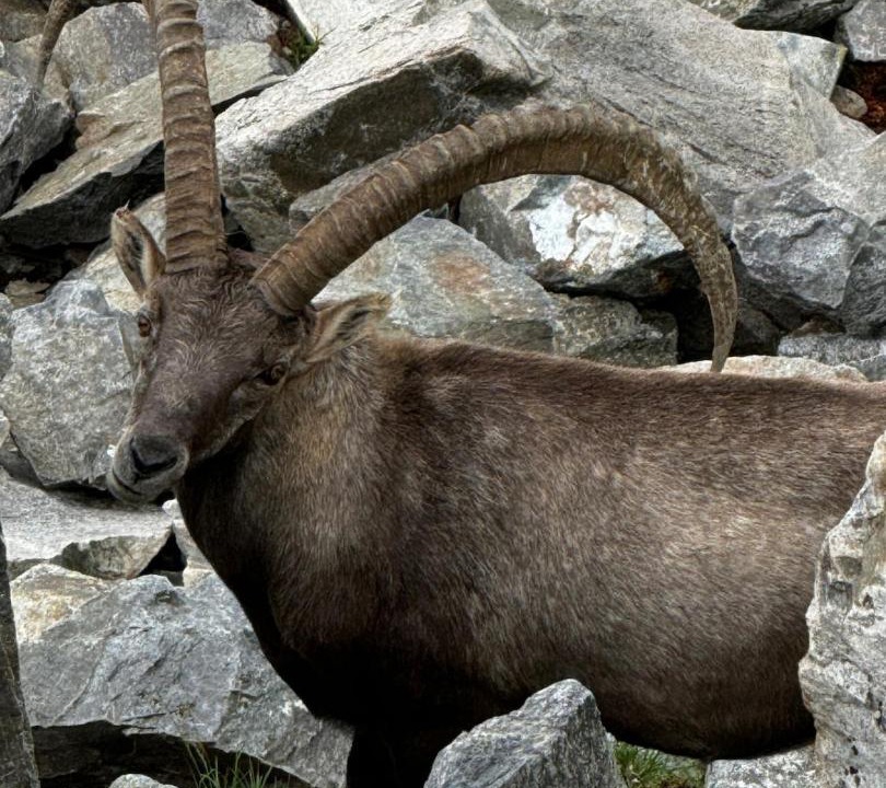 Photo of Others in Schruns