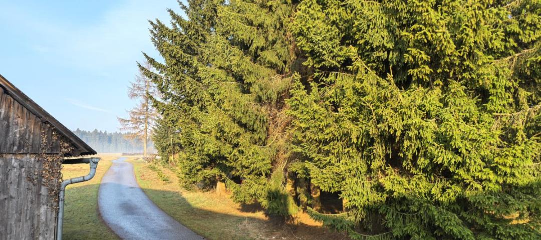 Photo of Others in Grafenschlag