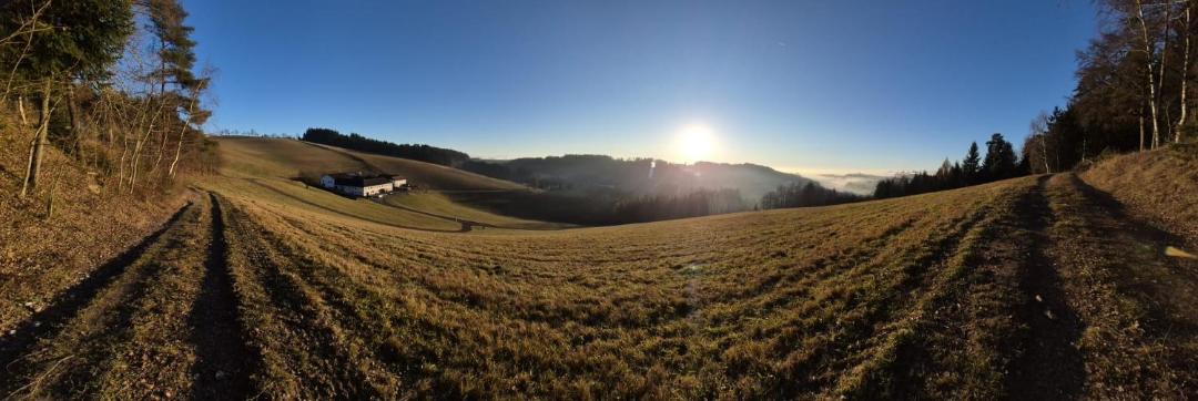 Photo of Others in Bad Zell