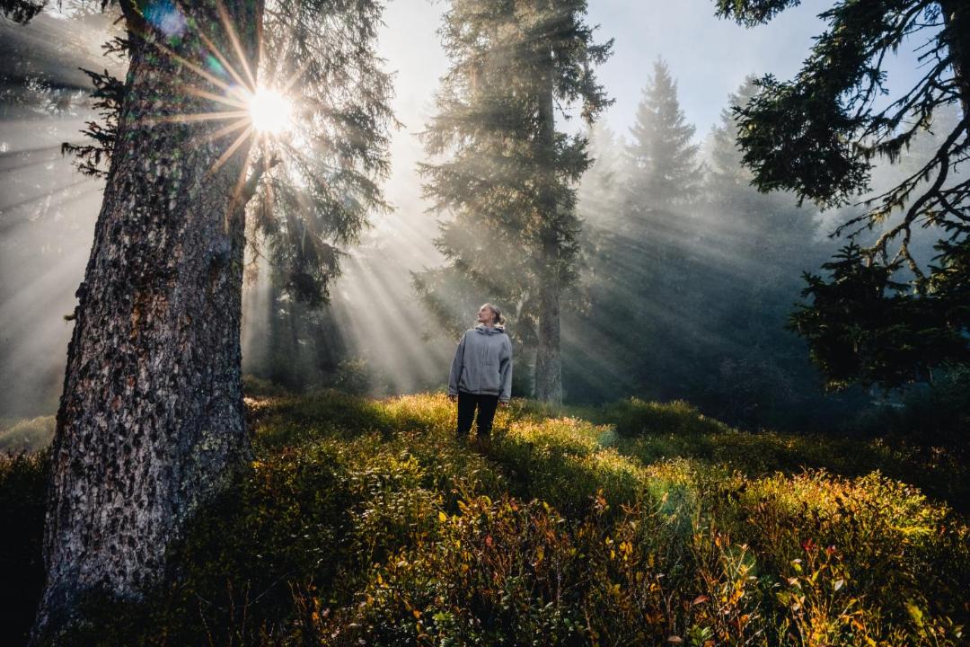Photo of Others in Ried im Zillertal