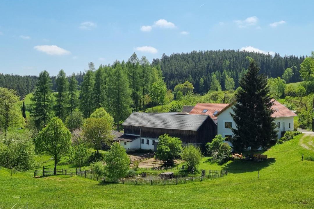 Photo of Others in Rappottenstein