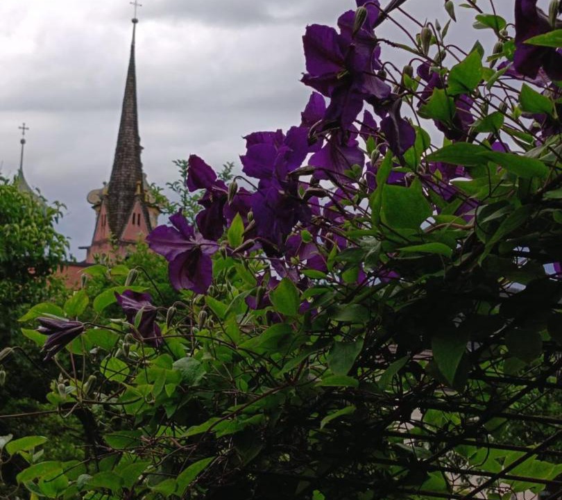Photo of Others in Radfeld