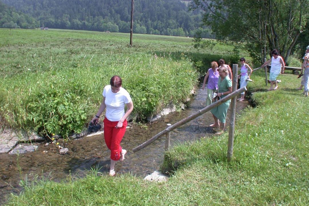 Photo of Others in Sibratsgfaell