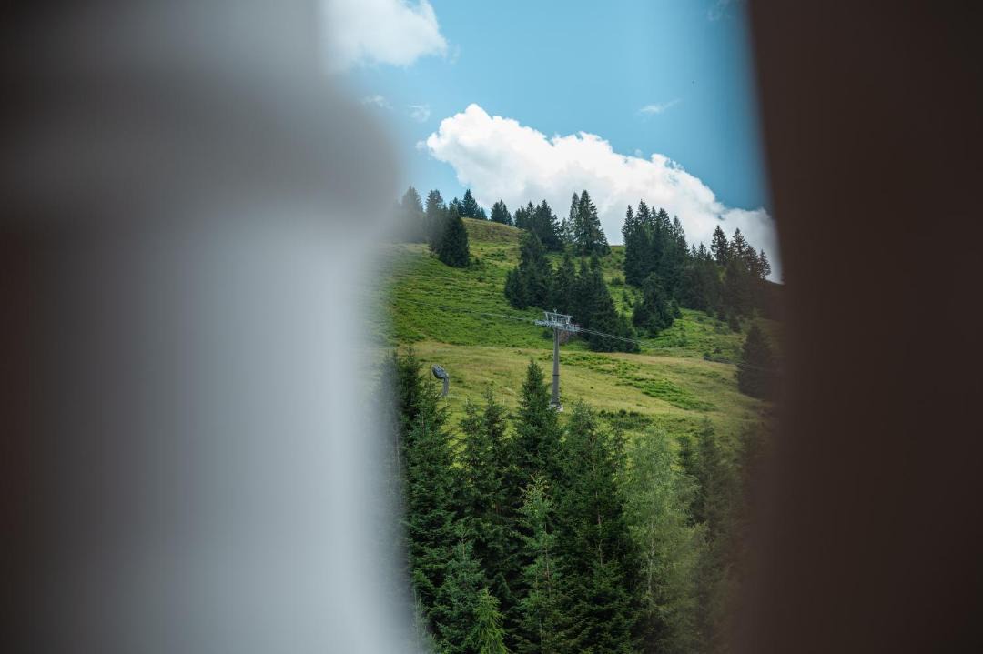 Photo of Others in Hinterthal