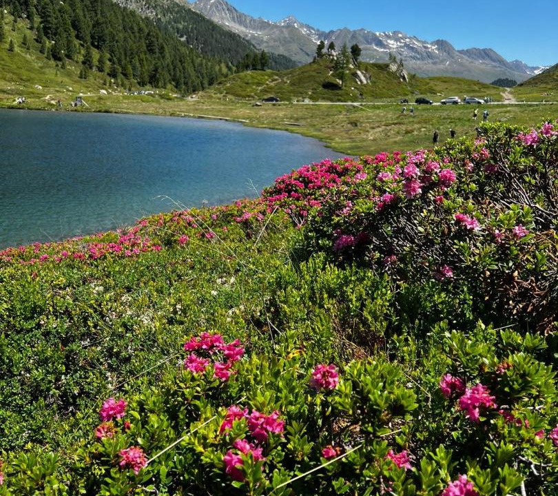 Photo of Others in Matrei in Osttirol