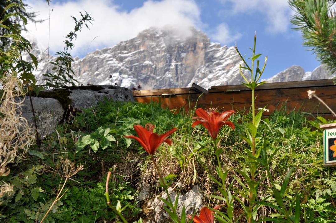 Photo of Others in Ramsau am Dachstein
