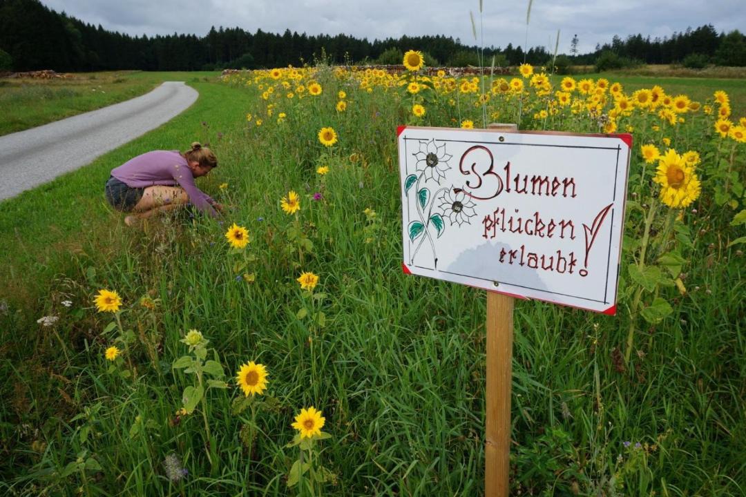 Photo of Others in Grafenschlag
