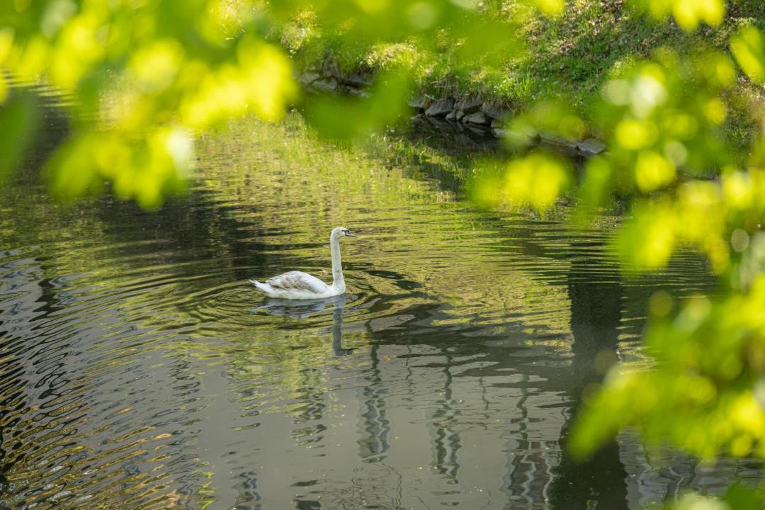 Photo of Others in Klagenfurt am Woerthersee