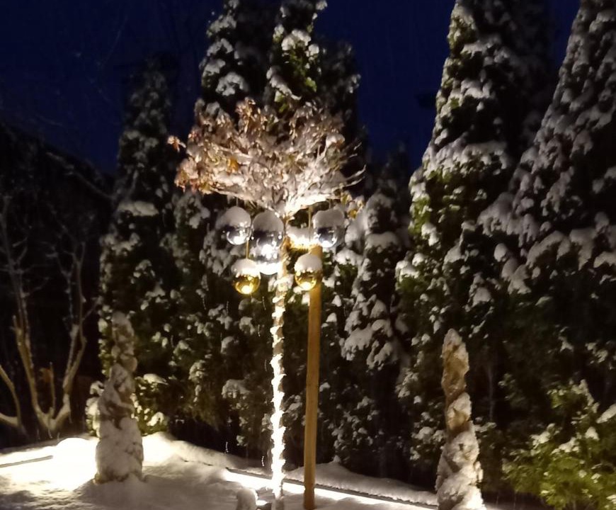 Photo of Others in Alpbach