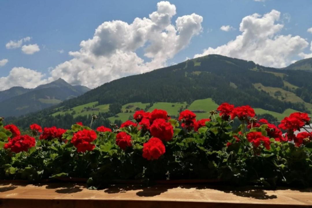 Photo of Others in Alpbach