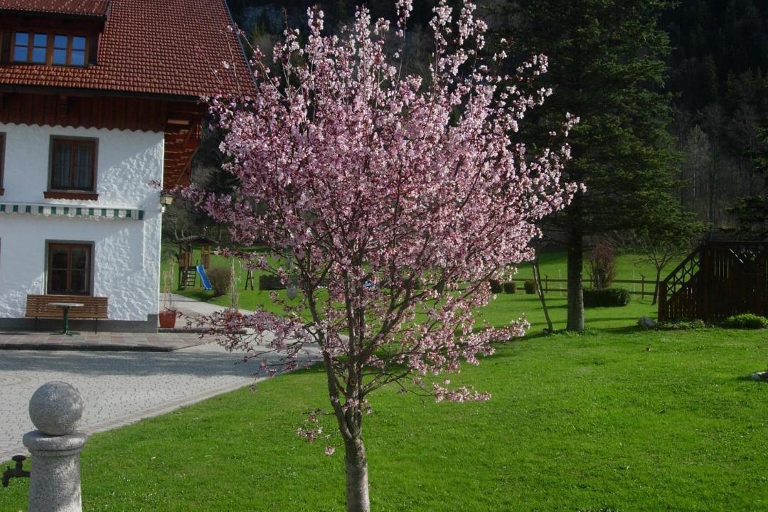 Photo of Others in Fuschl am See