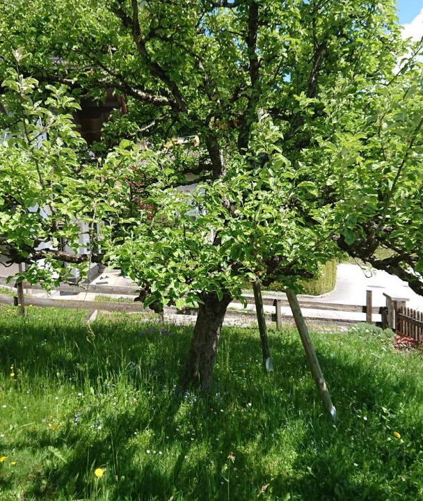 Photo of Outdoor in Piesendorf
