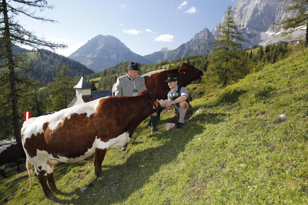Photo of Others in Ramsau am Dachstein
