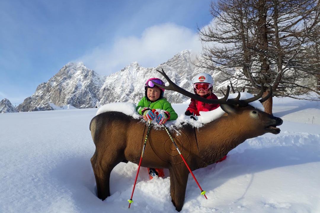 Photo of Others in Ramsau am Dachstein