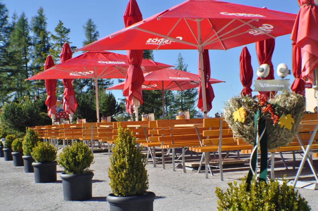 Photo of Others in Ramsau am Dachstein