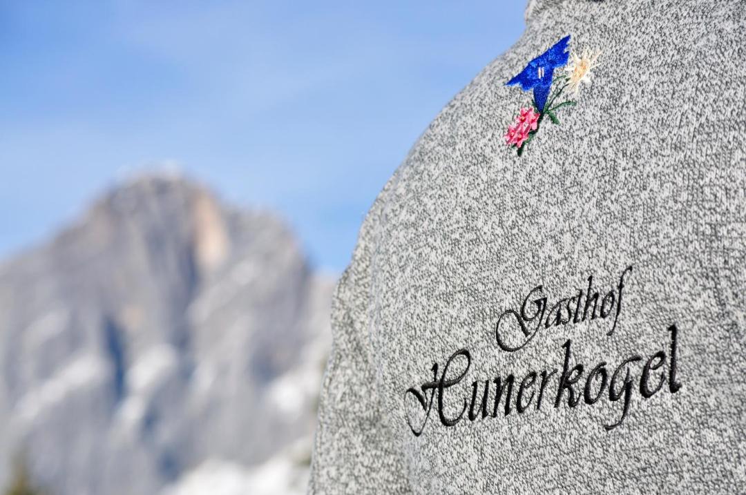 Photo of Others in Ramsau am Dachstein