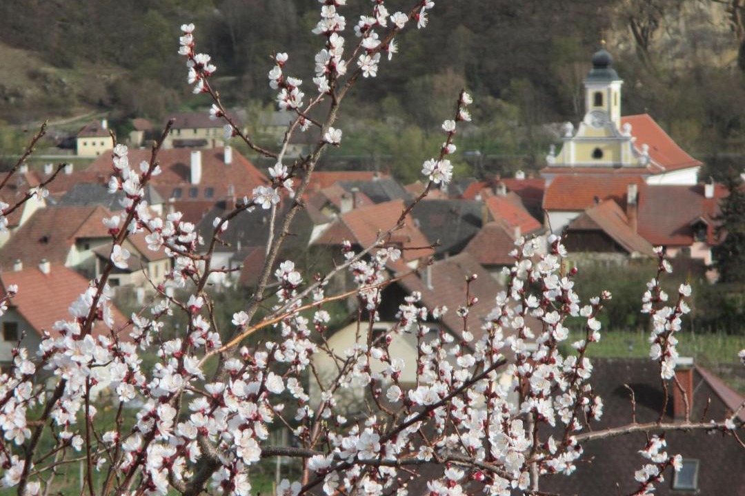 Photo of Others in Wosendorf
