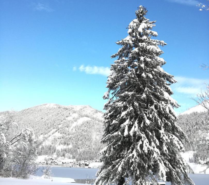 Photo of Others in Weissensee