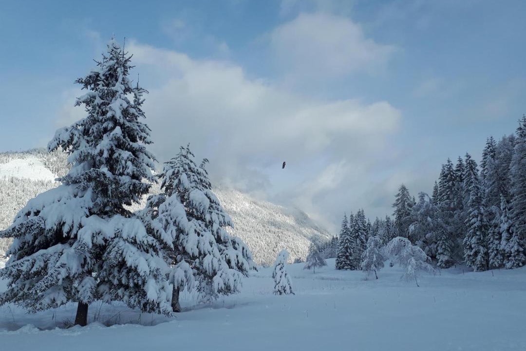 Photo of Others in Weissensee