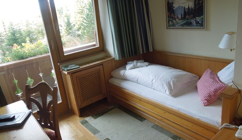 Single Room, Balcony (Edelweiss)