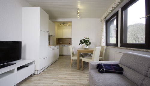 Comfort Apartment, 2 Bedrooms, Mountain View