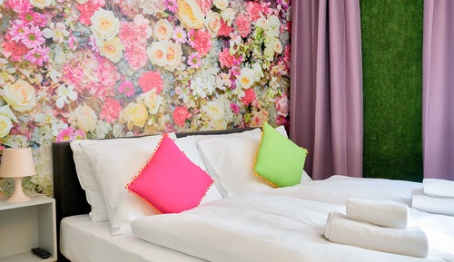 Superior Studio Suite (Pink)